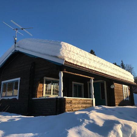 Vasa Ski Lodge 莫拉 外观 照片