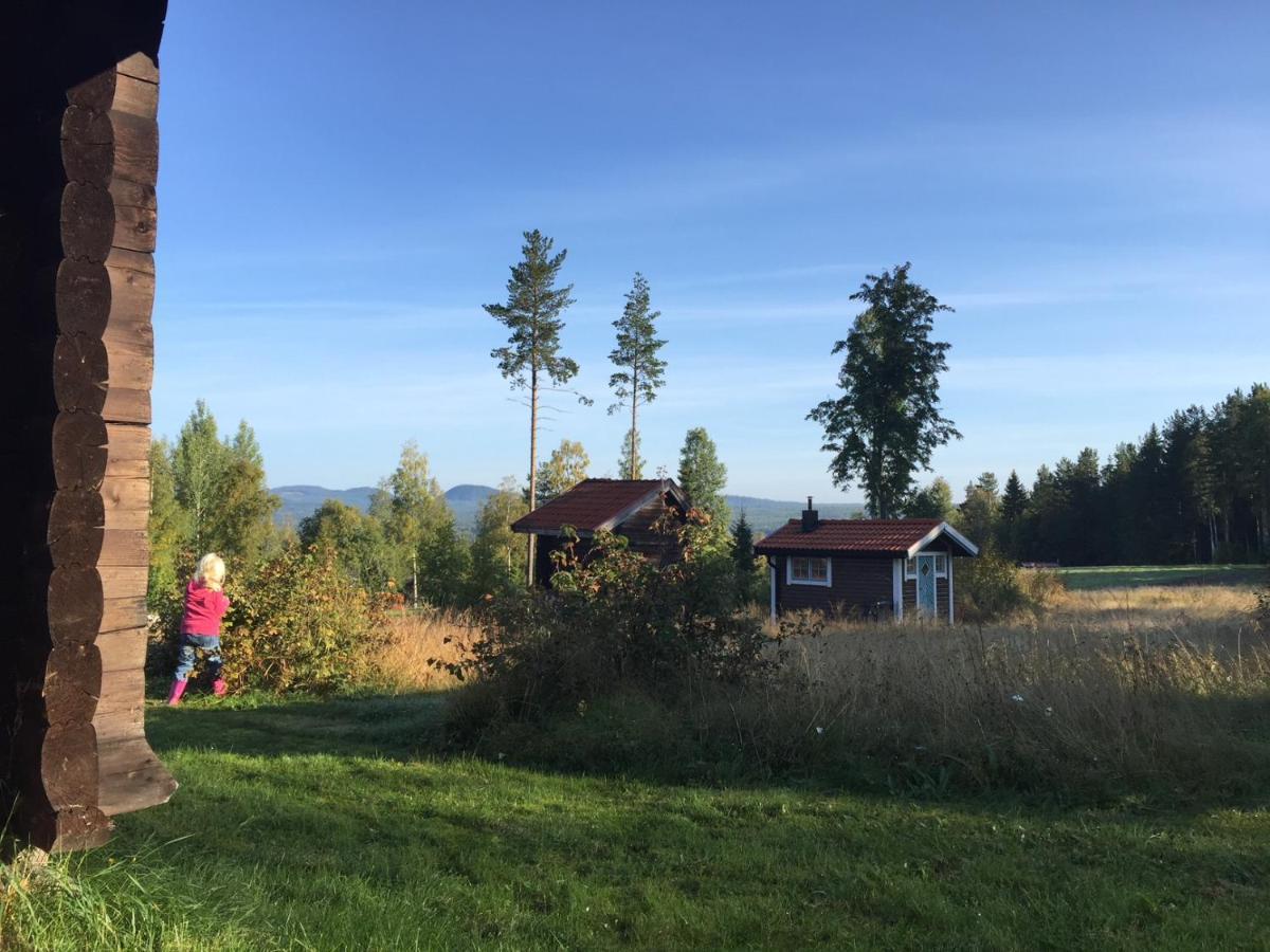 Vasa Ski Lodge 莫拉 外观 照片