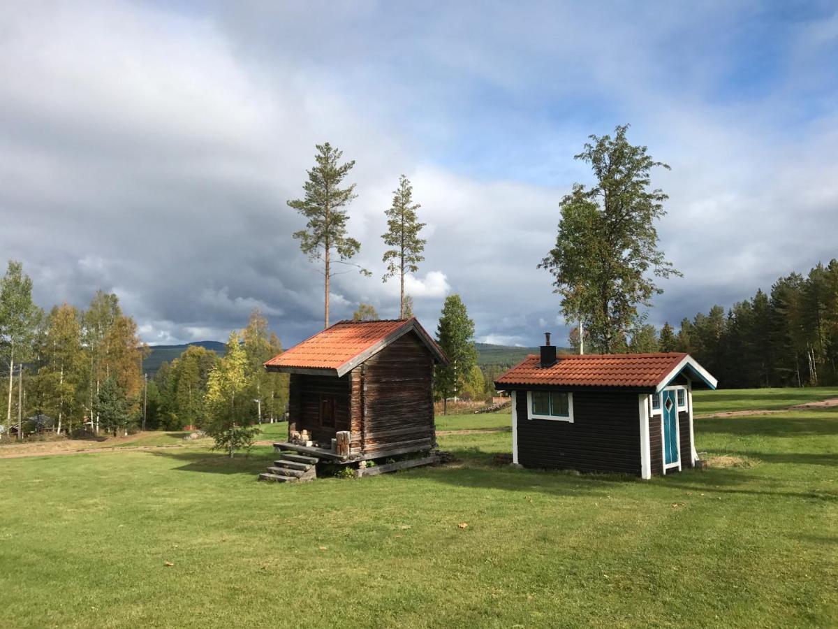 Vasa Ski Lodge 莫拉 外观 照片